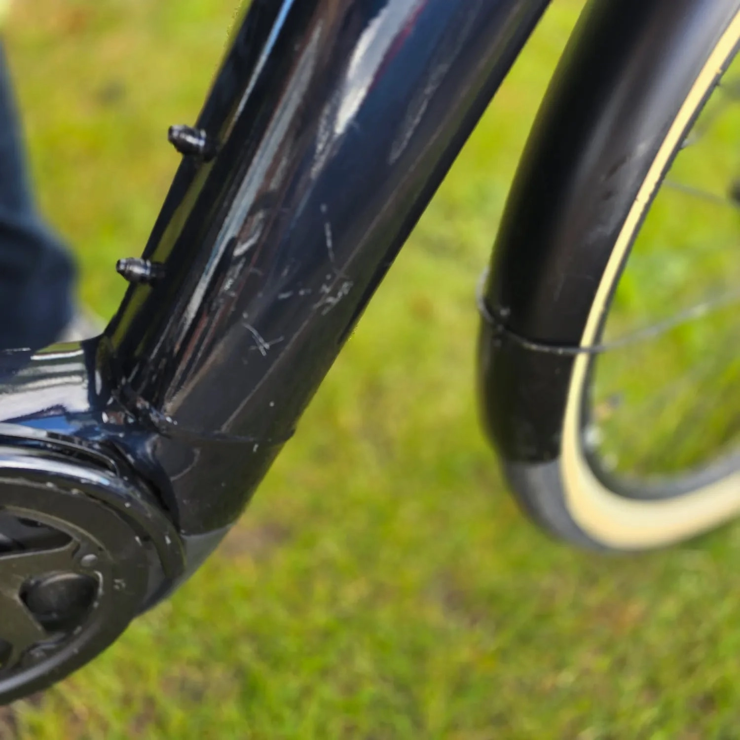 Momentum Transend E  2022