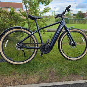 Momentum Transend E  2022