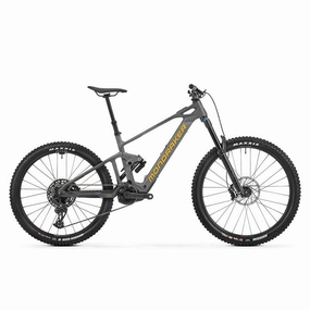 Mondraker Dune R