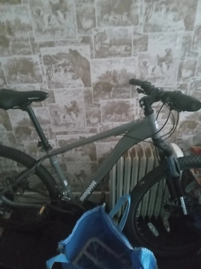Mongoose Tyax 29 Expert 2024