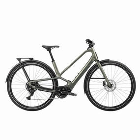 Orbea Diem 30 20MPH