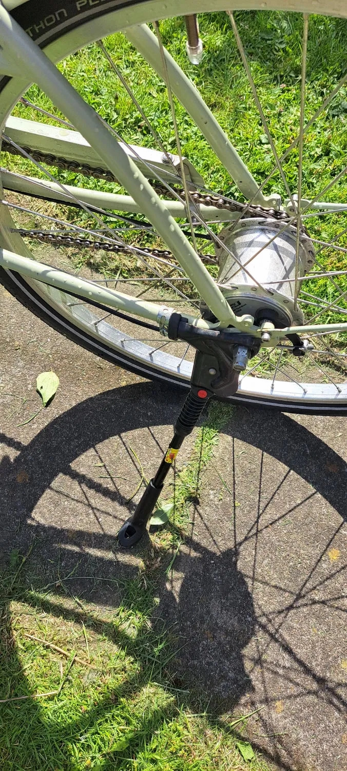 Pashley Penny 5 Speed 2020