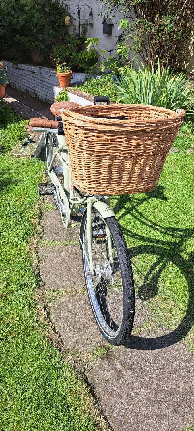 Pashley Penny 5 Speed 2020
