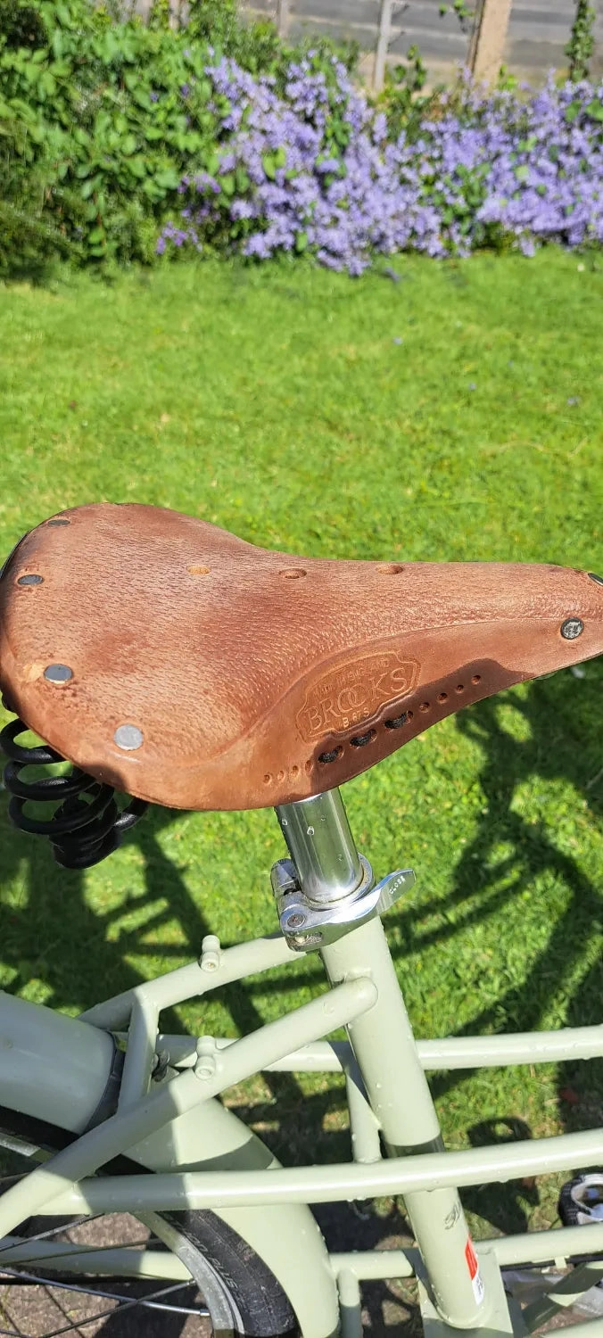 Pashley Penny 5 Speed 2020