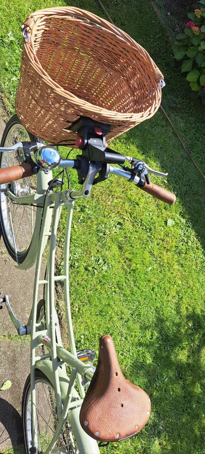 Pashley Penny 5 Speed 2020