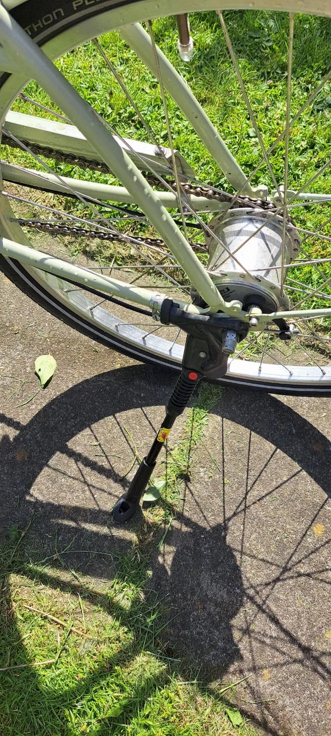 Pashley Penny 5 Speed 2020