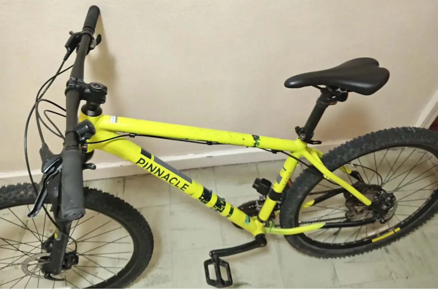 Pinnacle Kapur 1 2020