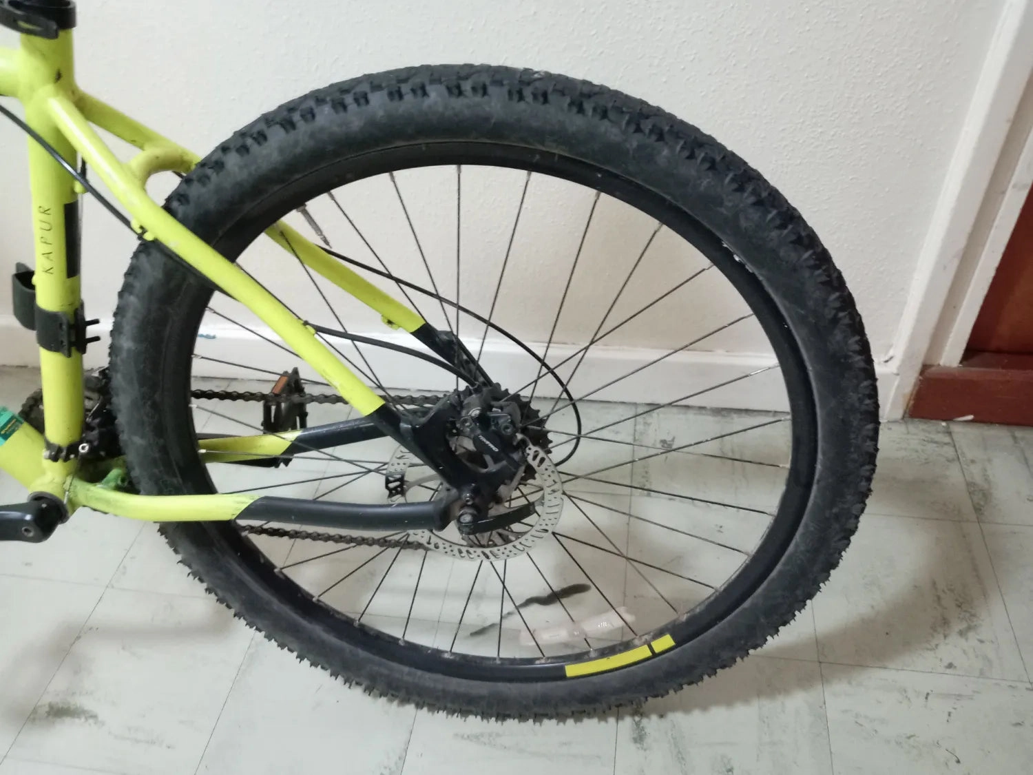 Pinnacle Kapur 1 2020