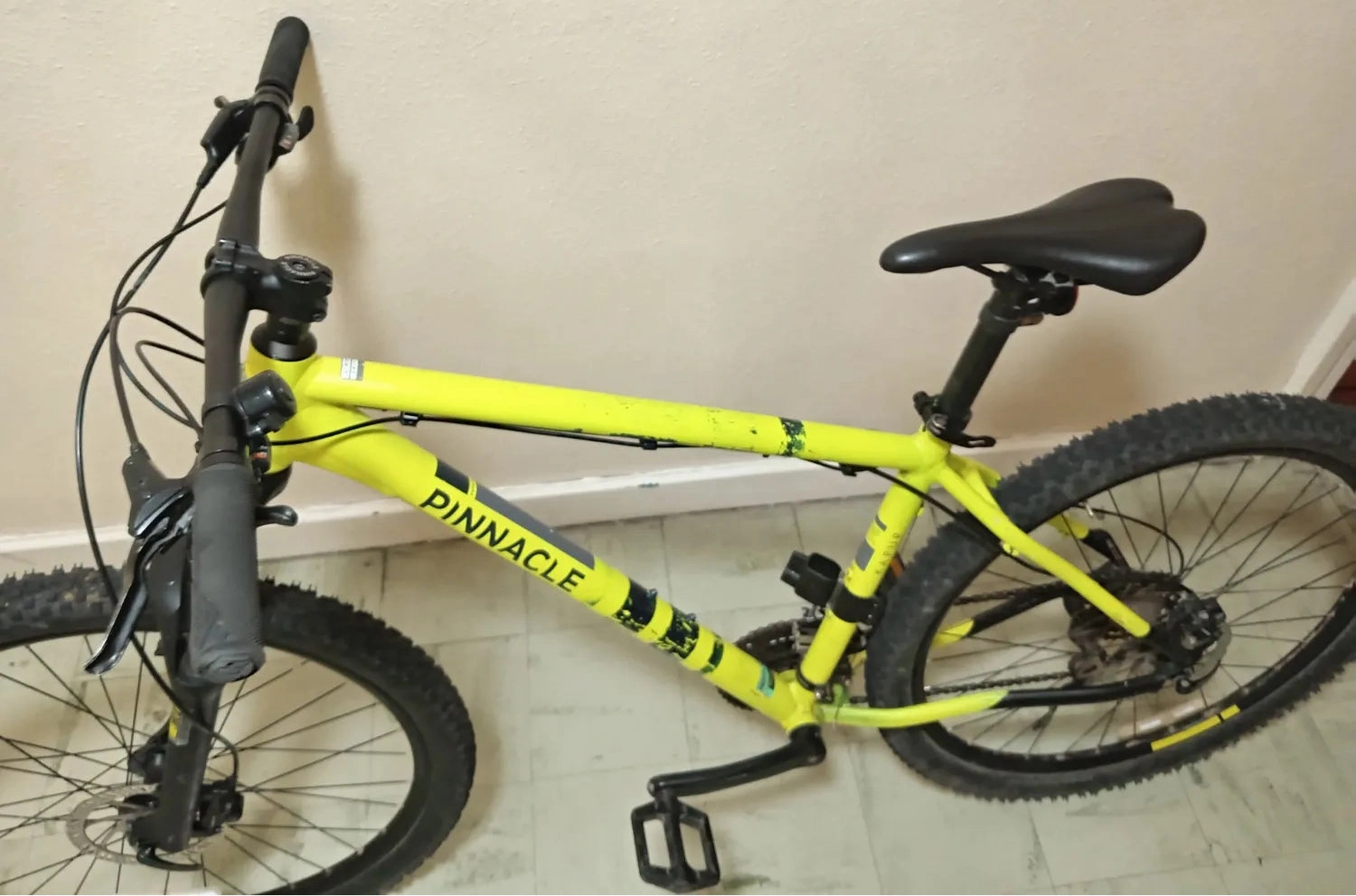 Pinnacle Kapur 1 2020