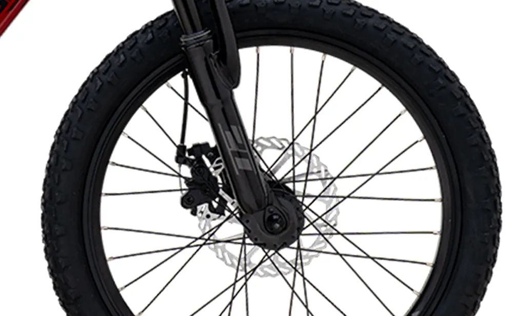 Polygon Relic 20 - Kids Mountain Bike