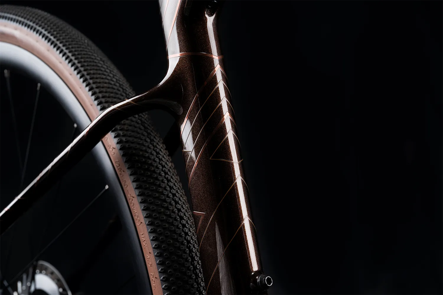 Polygon Tambora AE-N Carbon - eGravel Bike