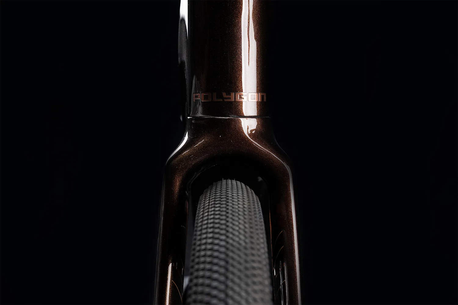 Polygon Tambora AE-N Carbon - eGravel Bike