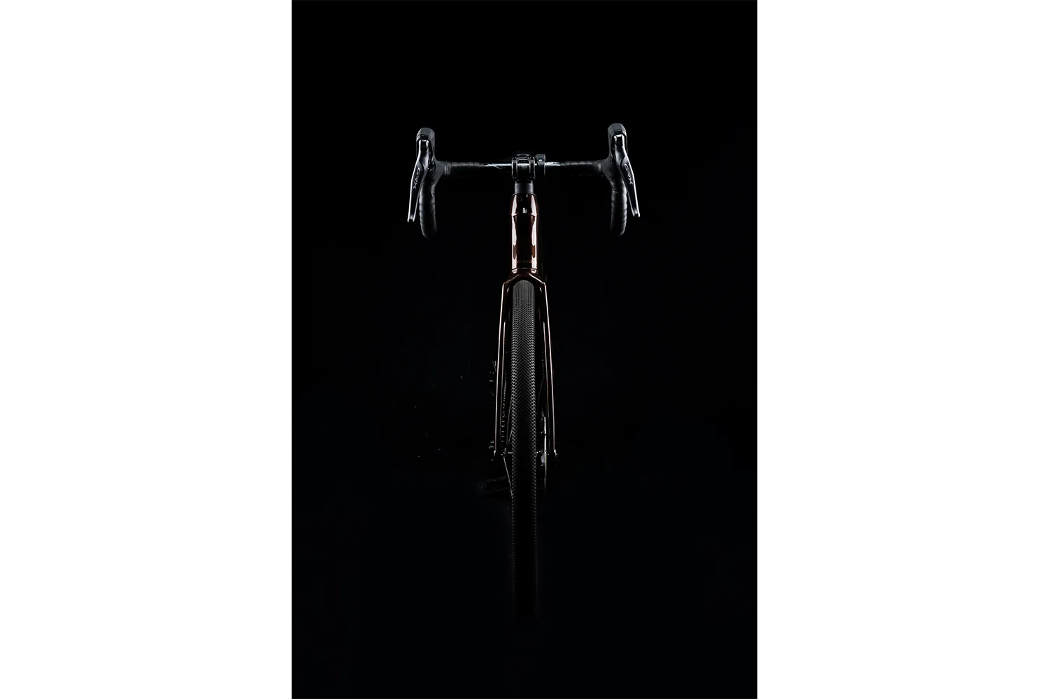 Polygon Tambora AE-N Carbon - eGravel Bike