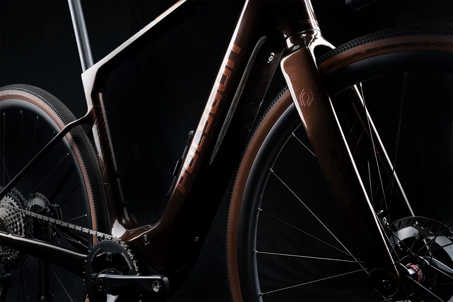 Polygon Tambora AE-N Carbon - eGravel Bike