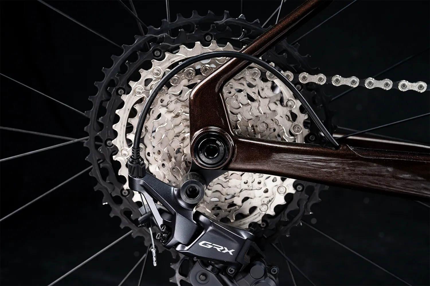 Polygon Tambora AE-N Carbon - eGravel Bike