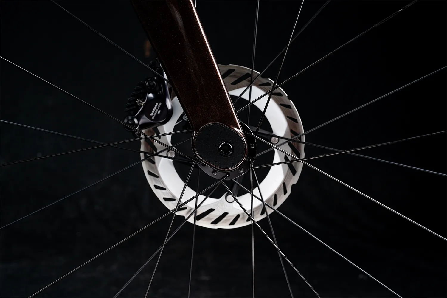 Polygon Tambora AE-N Carbon - eGravel Bike