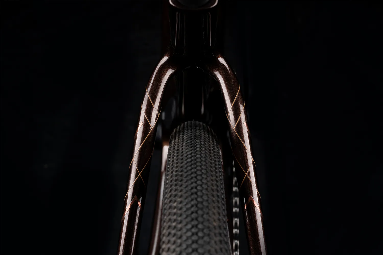 Polygon Tambora AE-N Carbon - eGravel Bike