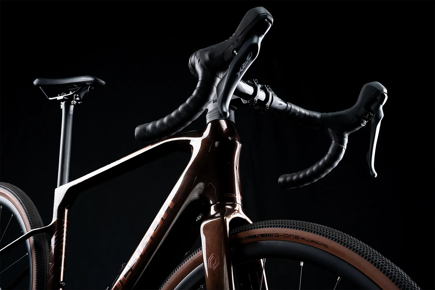 Polygon Tambora AE-N Carbon - eGravel Bike