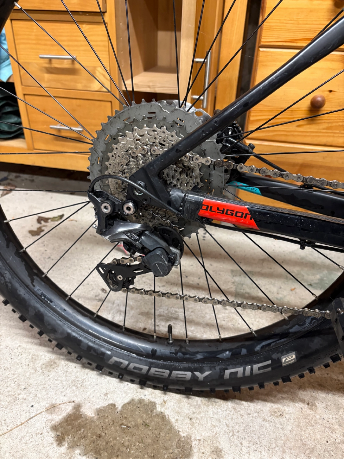 Polygon ENTIAT TR8 2019