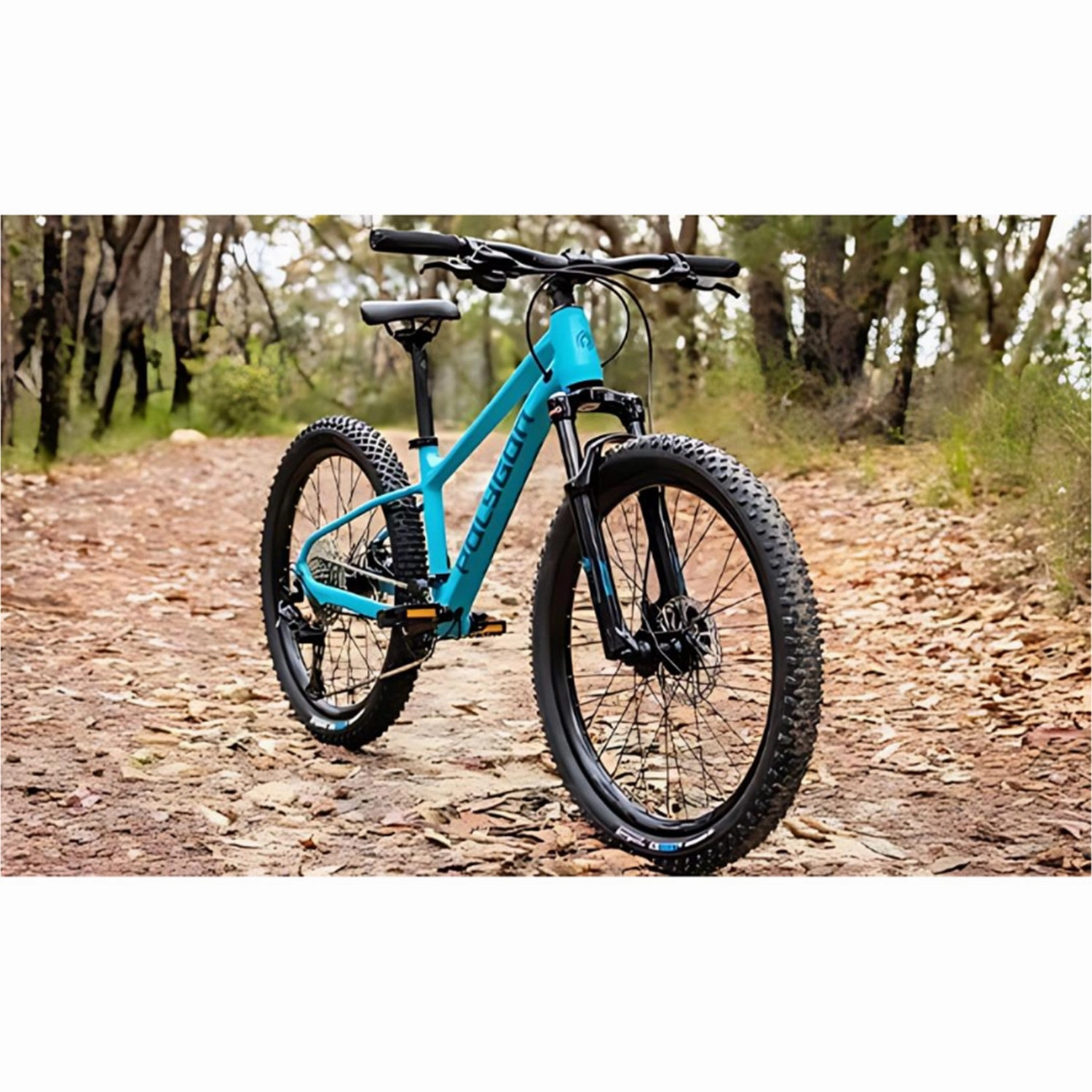 Polygon Xtrada 24