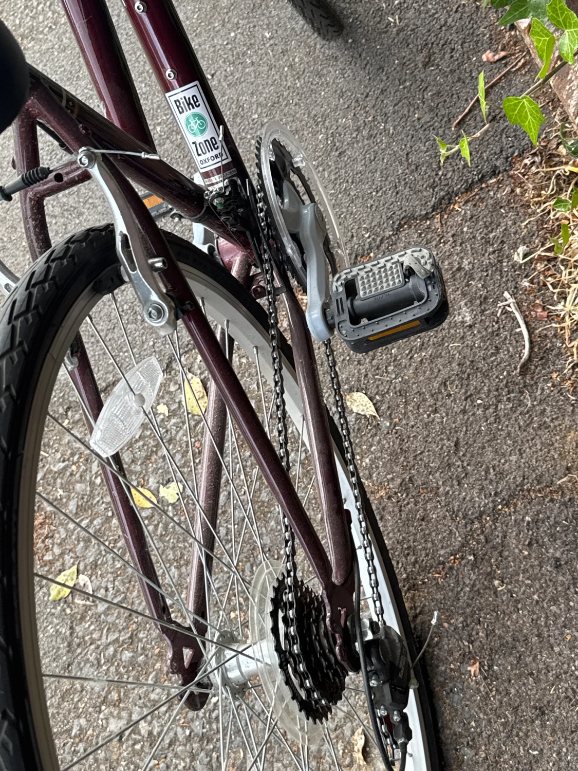 Probike Horizon women 2019