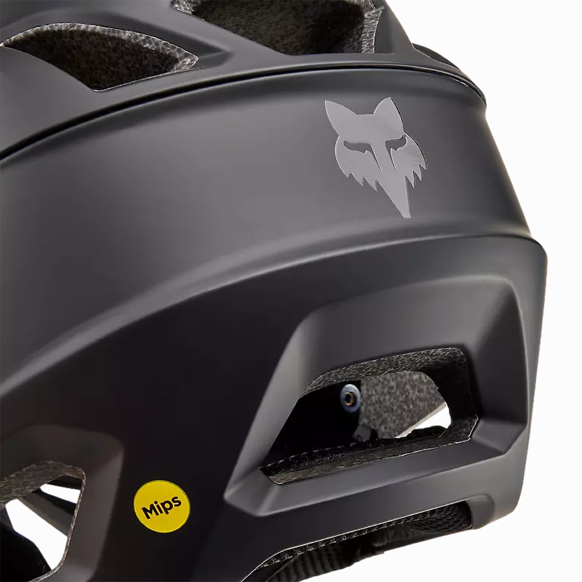 Proframe MIPS