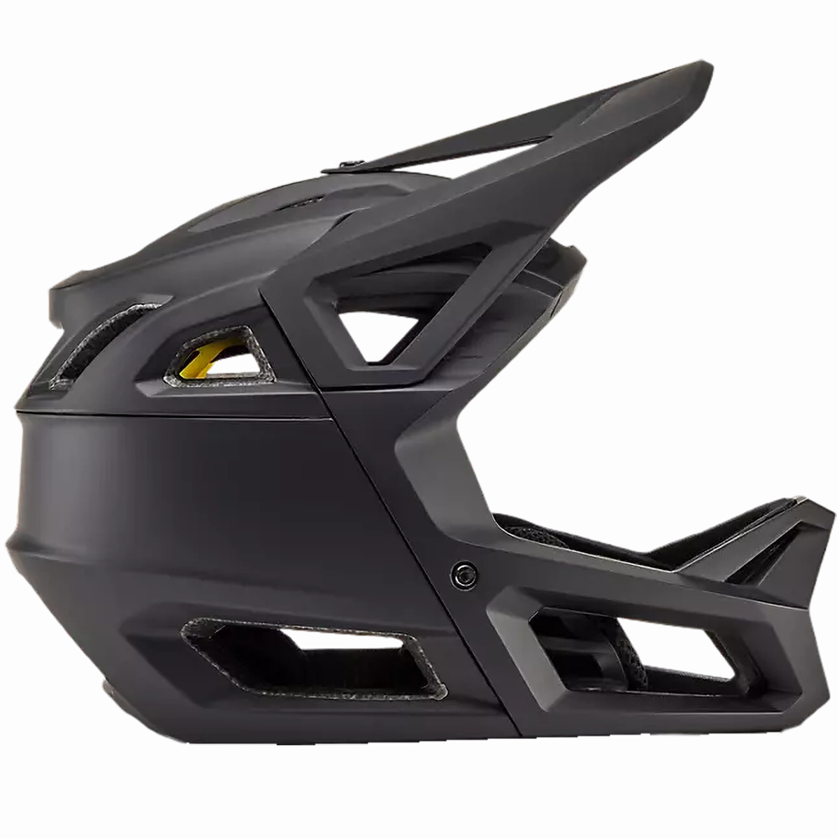Proframe MIPS