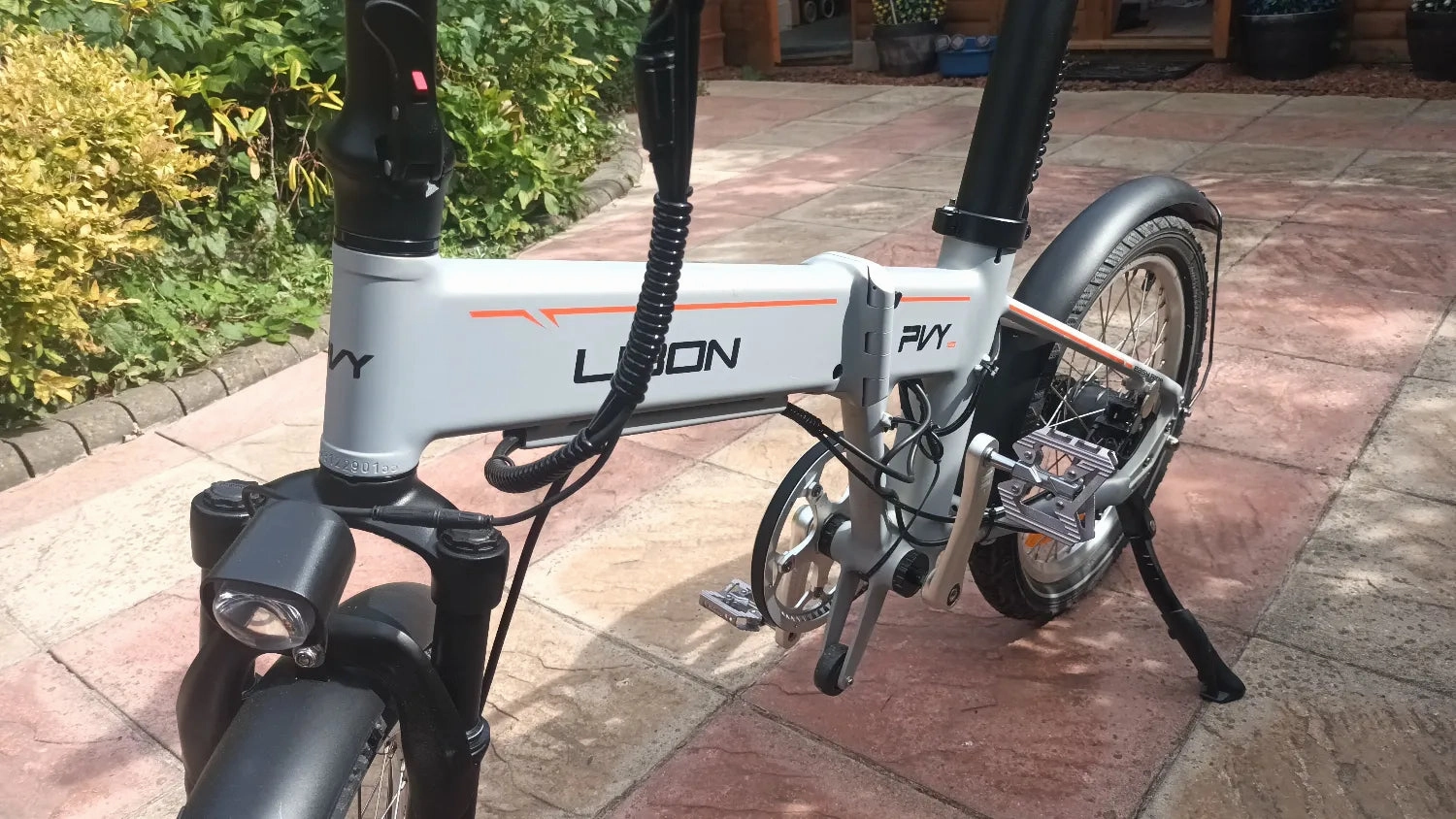 PVY LIBON 2024