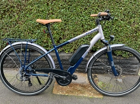 Raleigh Array 2023