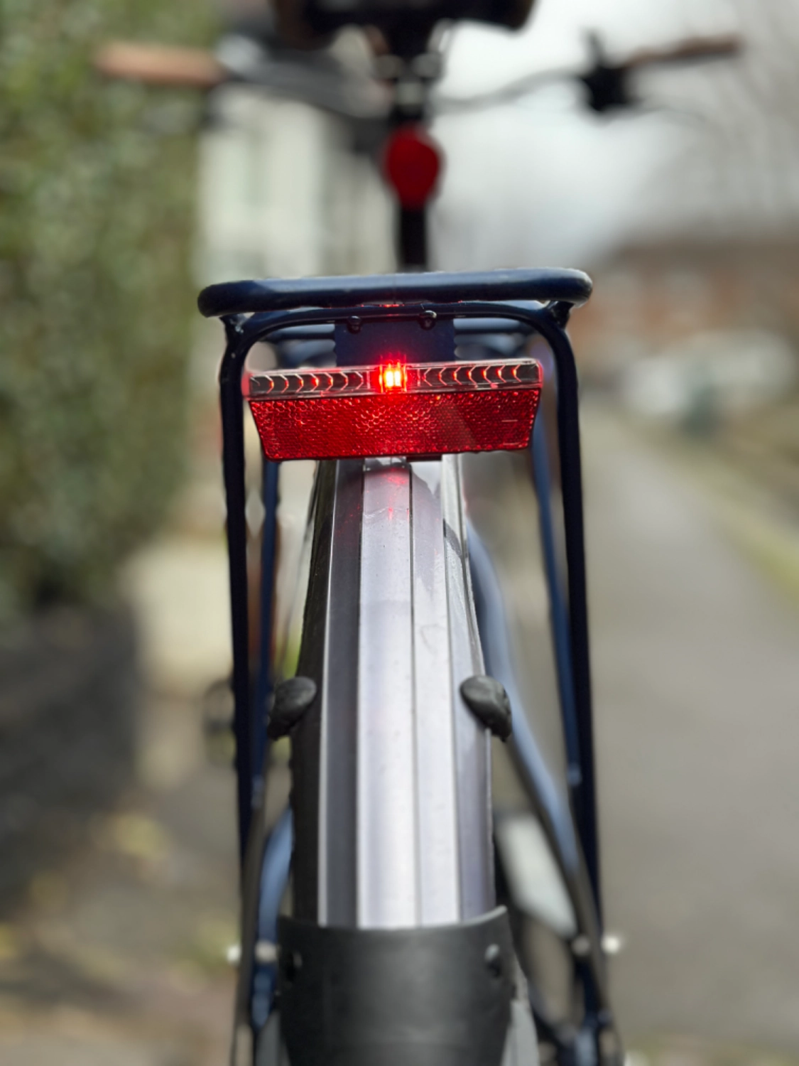 Raleigh Array 2023