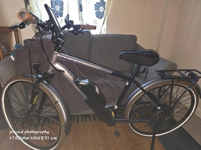 Raleigh Array hybrid  2023