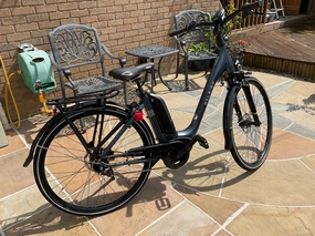 Raleigh Modus Tour 2020