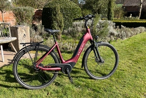 Raleigh Motus 2022