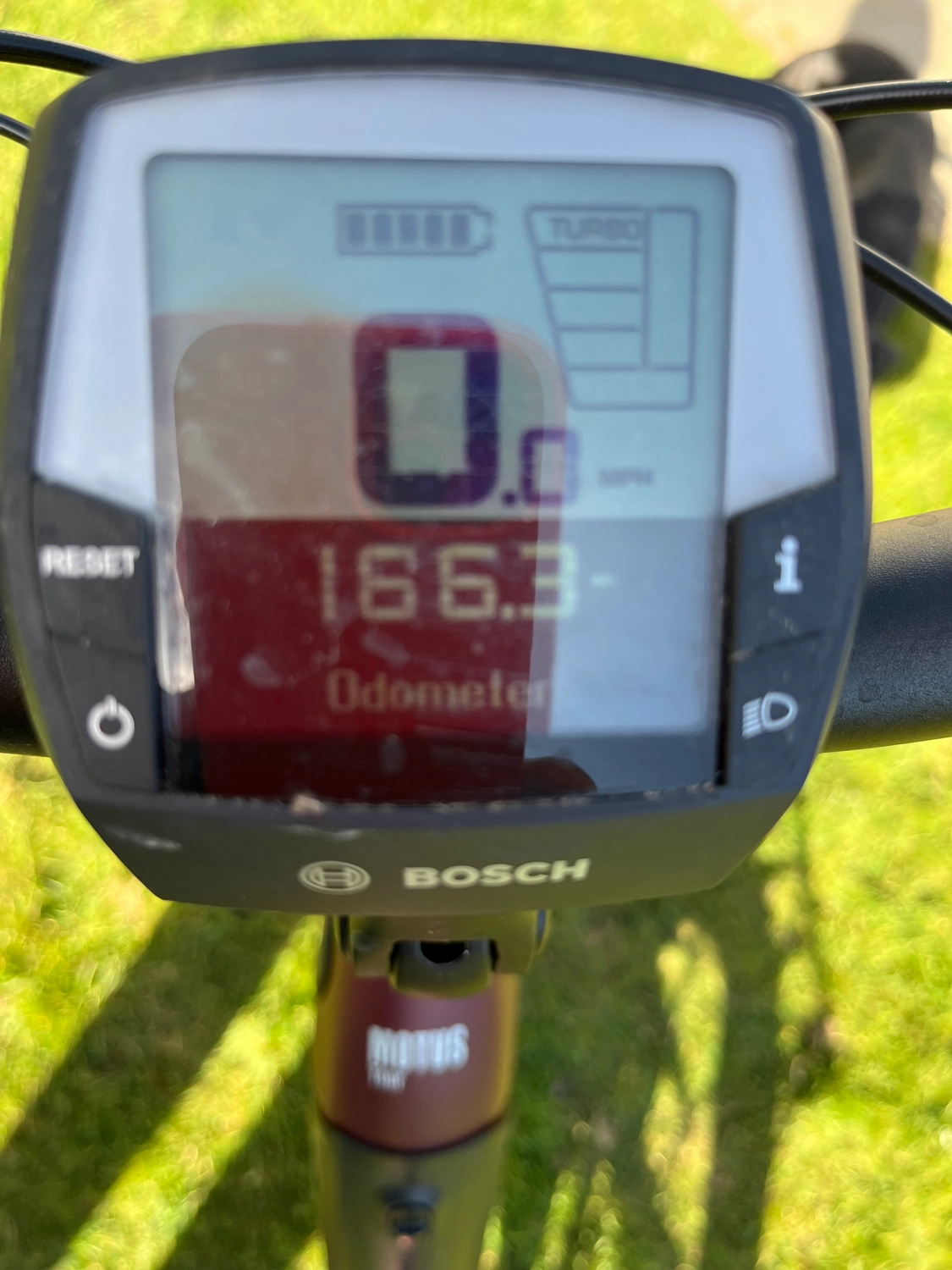 Raleigh Motus 2022