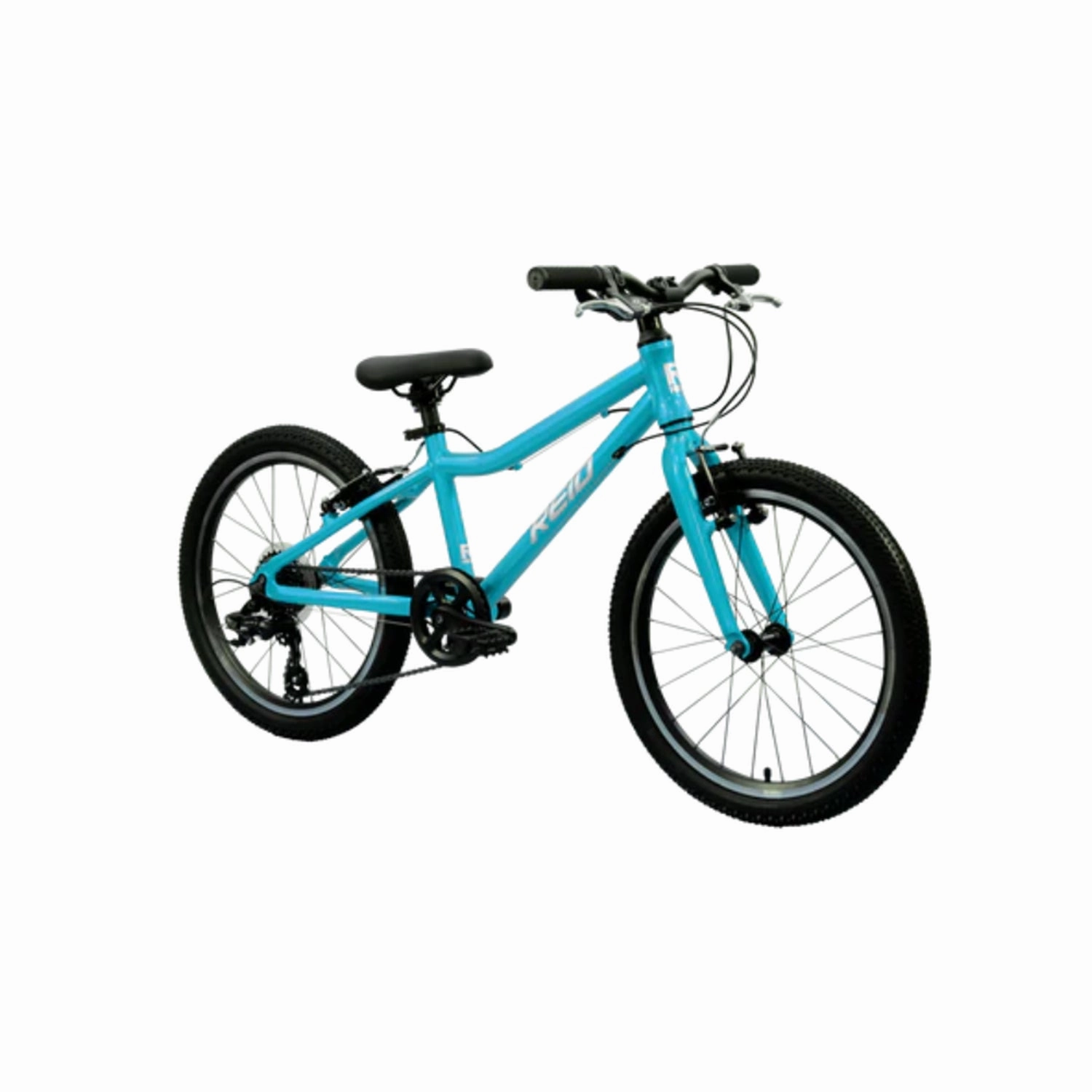 Reid Viper 20" Kids MTB