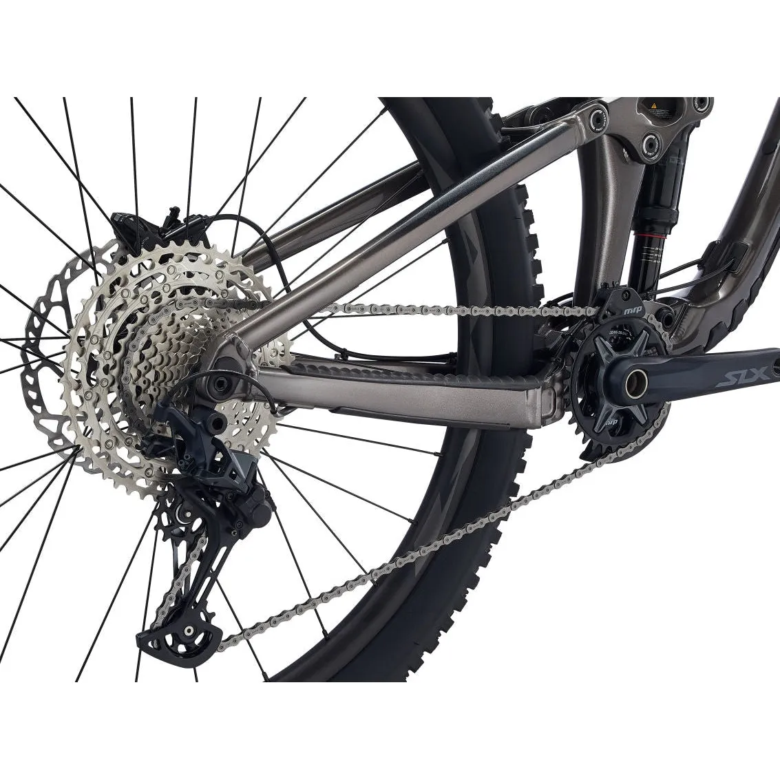 Reign 29 Mountain Bike (2023)