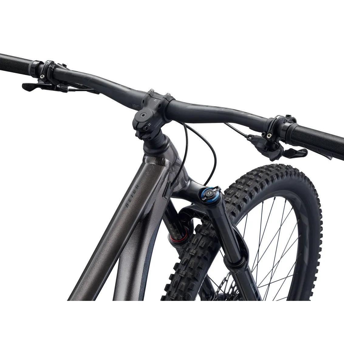 Reign 29 Mountain Bike (2023)