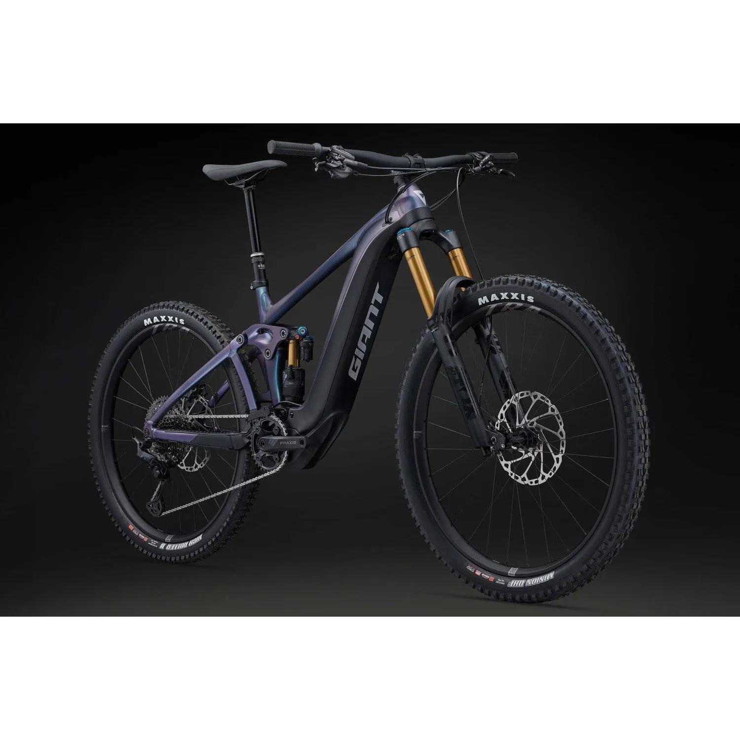 Reign E  1 Electric Mountain Bike (2024)
