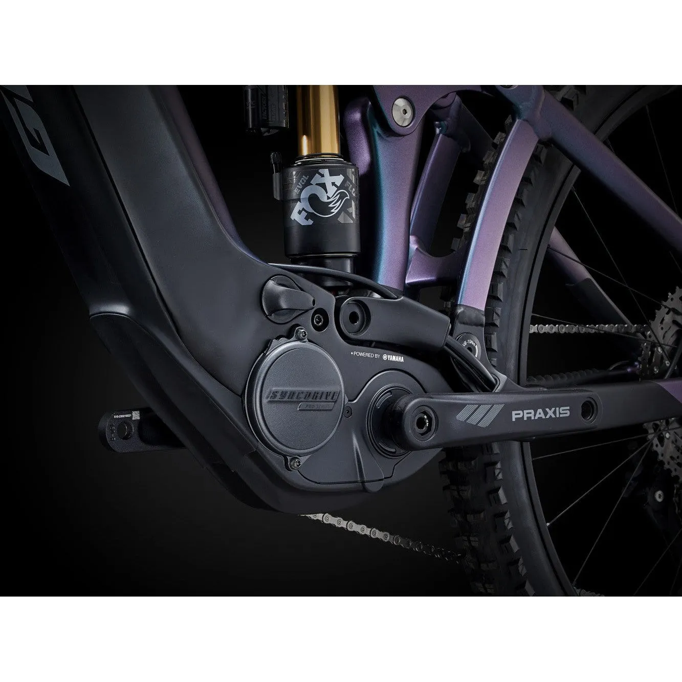 Reign E  1 Electric Mountain Bike (2024)