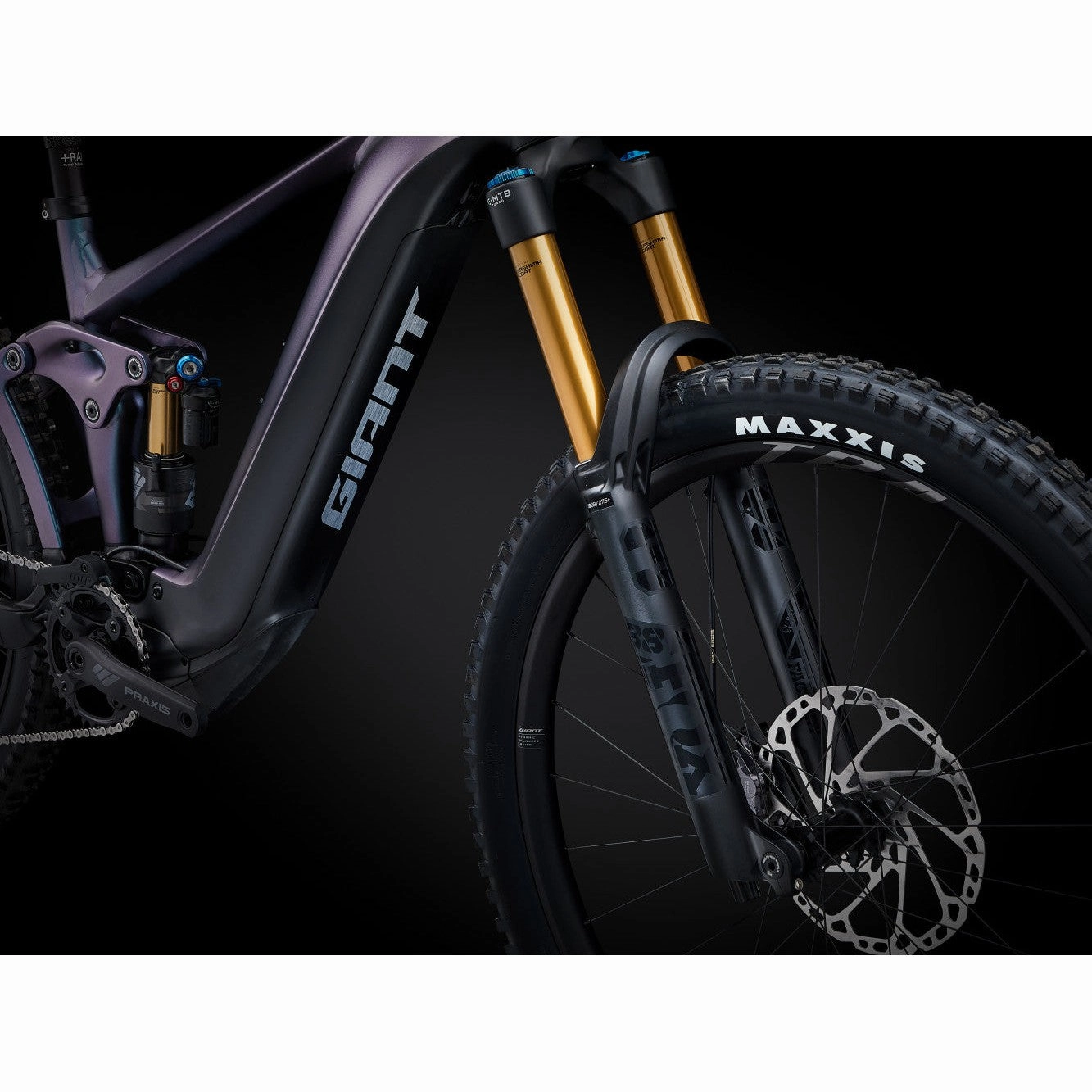 Reign E  1 Electric Mountain Bike (2024)