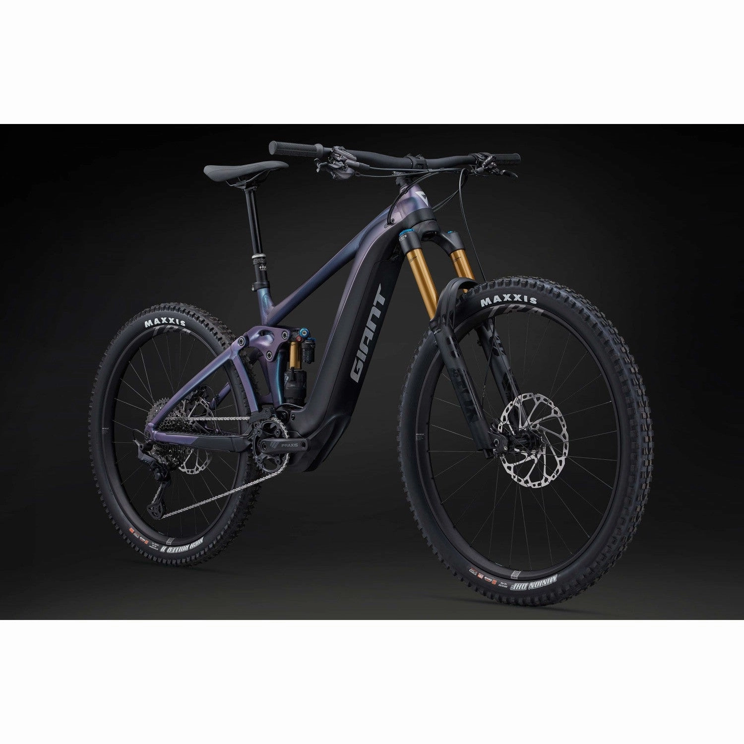 Reign E  1 Electric Mountain Bike (2024)