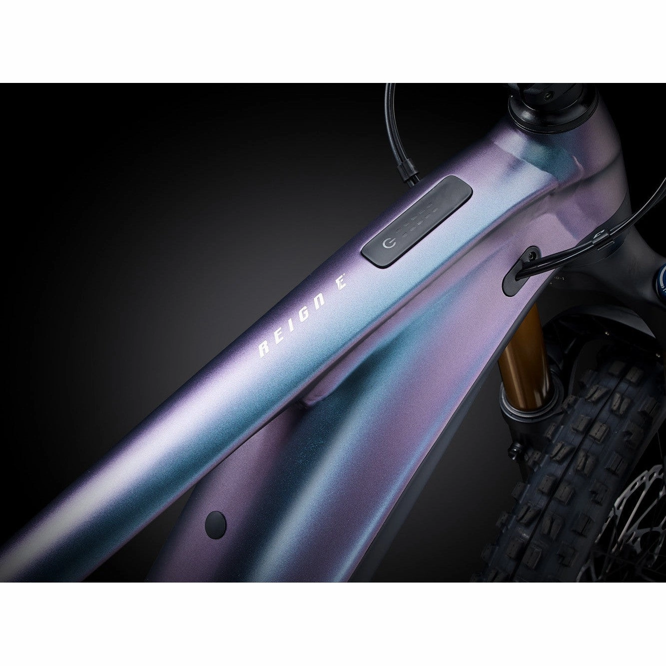 Reign E  1 Electric Mountain Bike (2024)