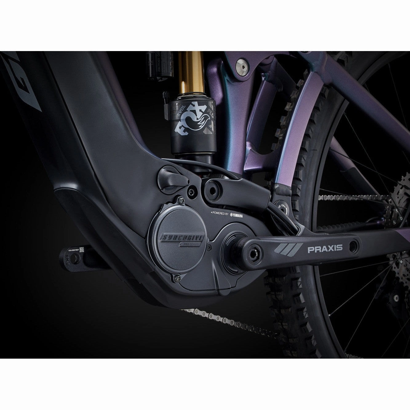Reign E  1 Electric Mountain Bike (2024)