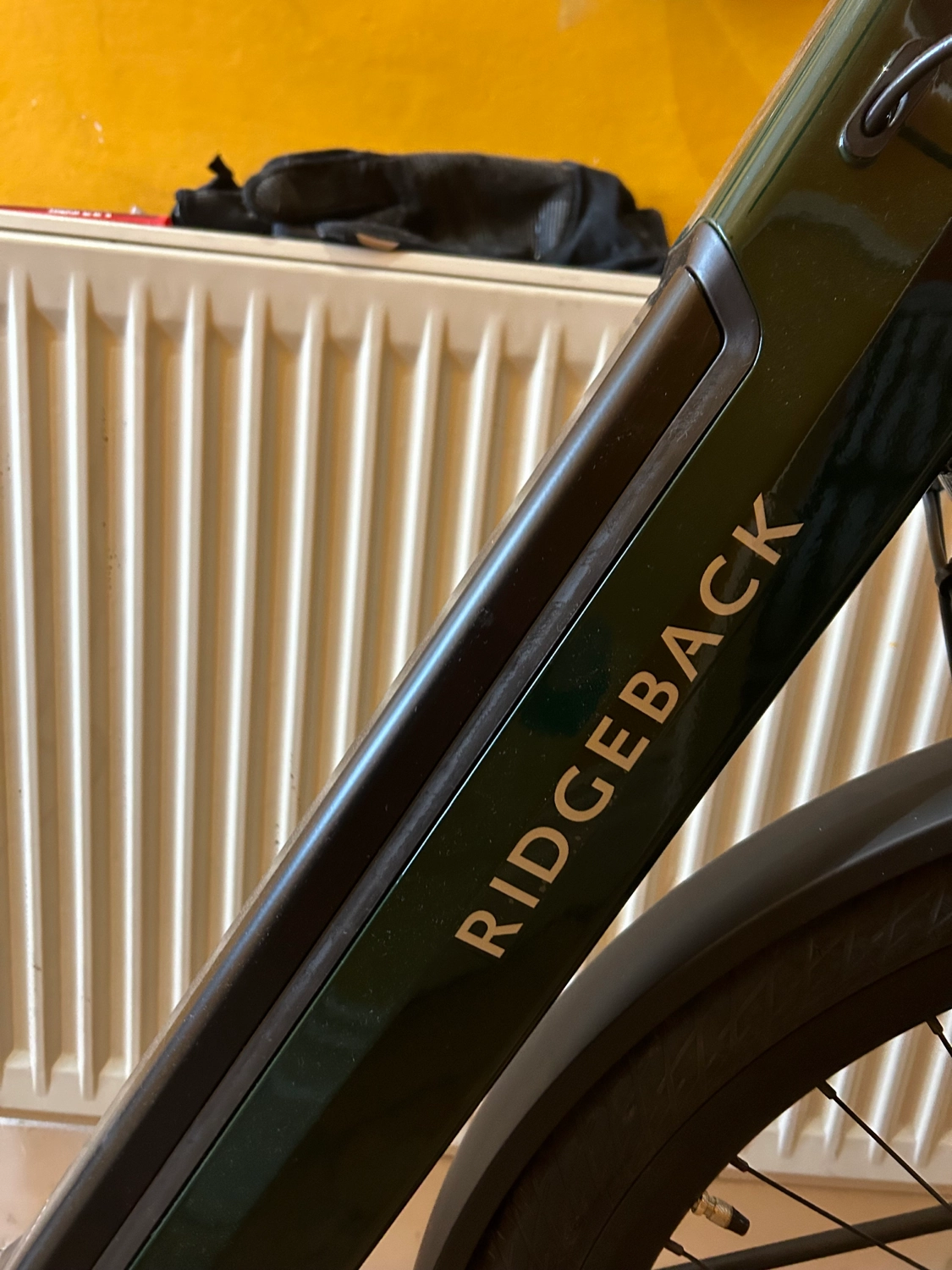 Ridgeback Electron INT 2024