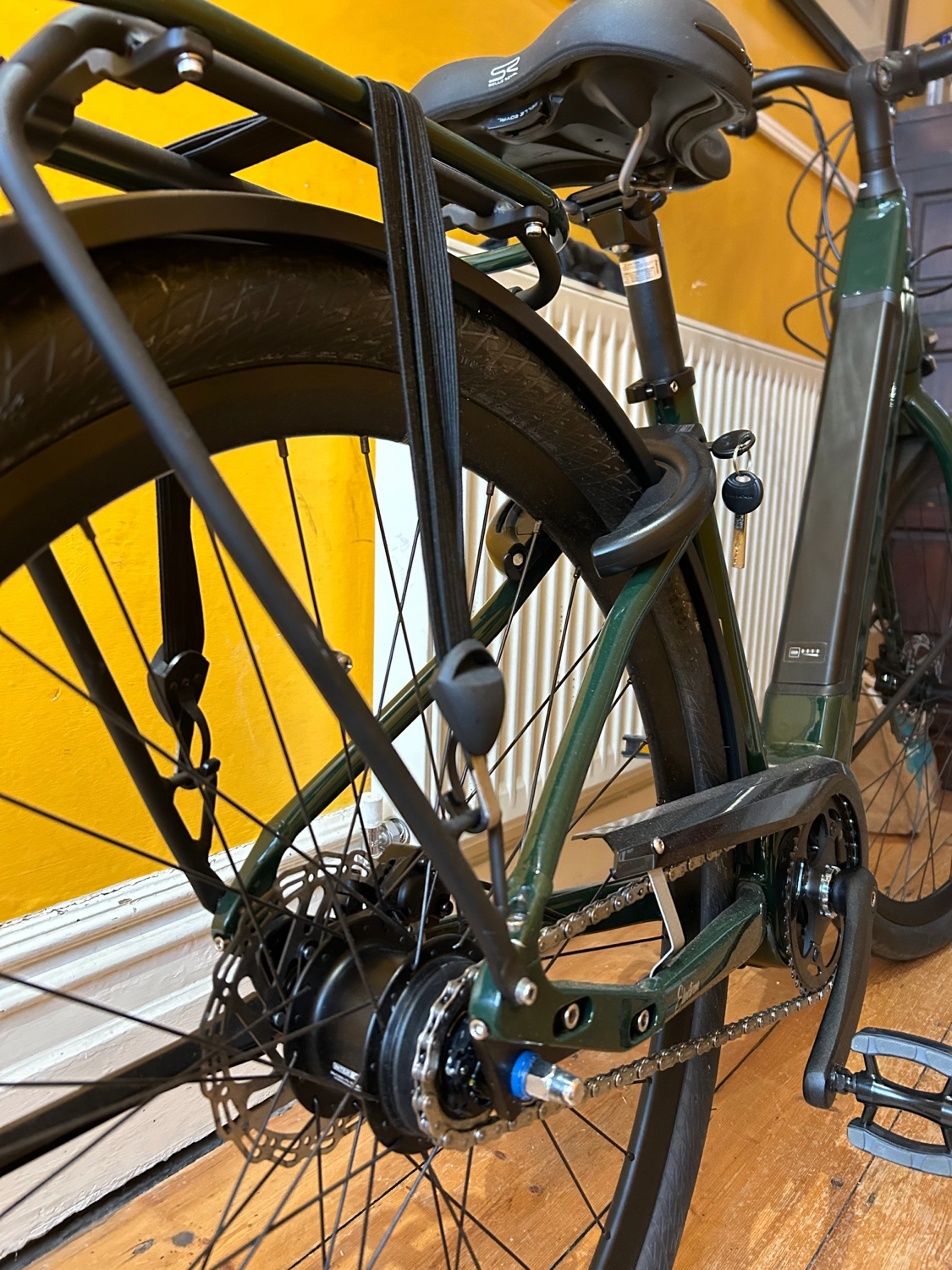 Ridgeback Electron INT 2024