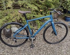 Ridgeback Flight 4.0 2019