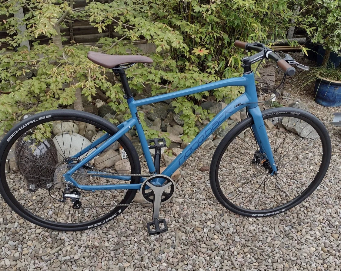 Ridgeback Flight 4.0 2019