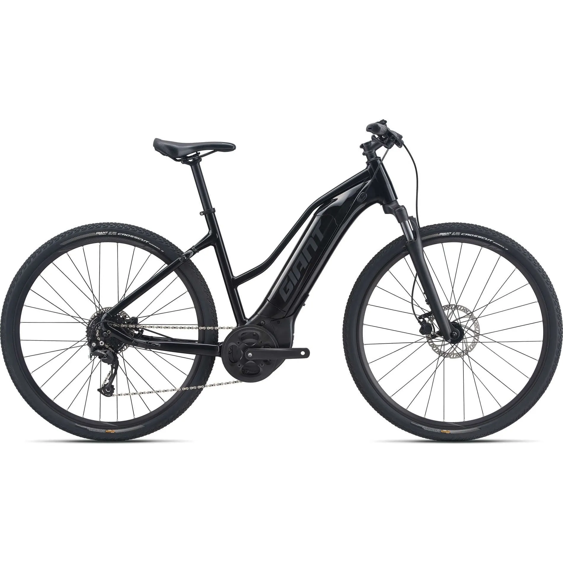 Roam E  STA Electric Bike (2022)