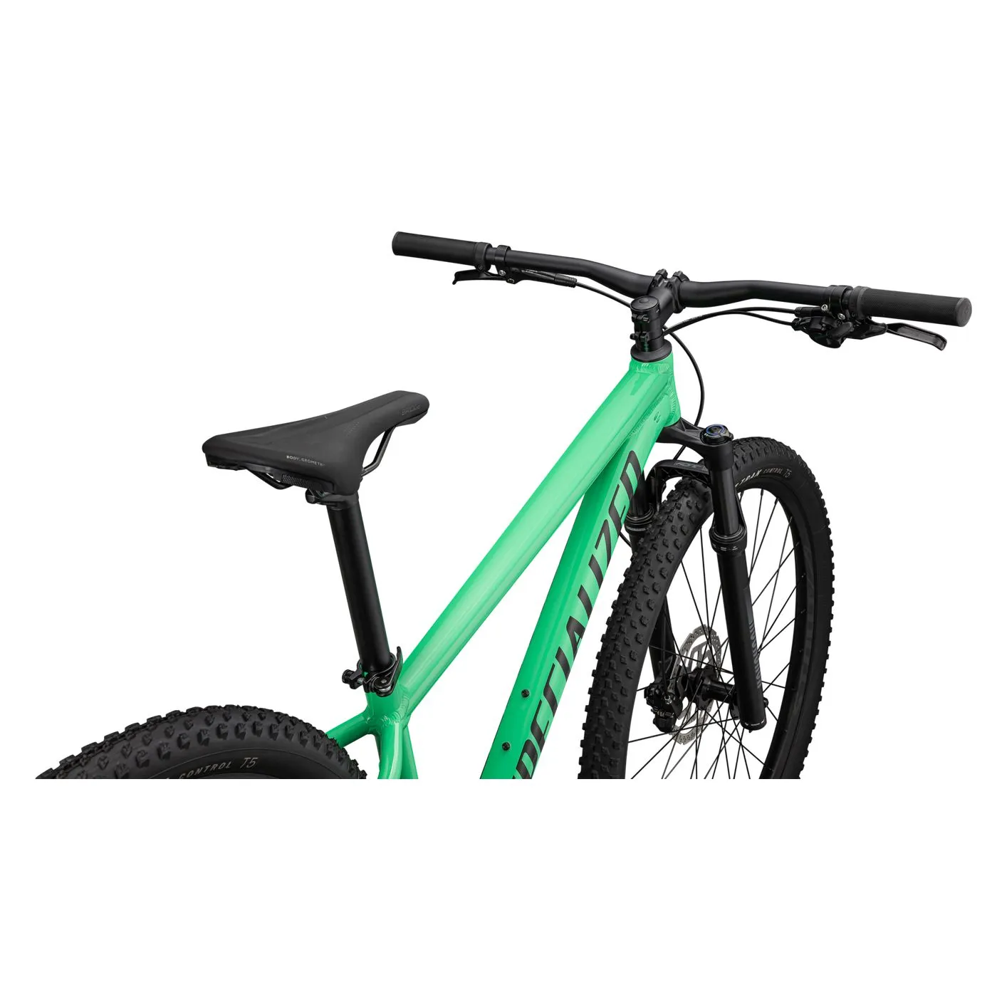 Rockhopper Expert 29" Mountain Bike (2024)