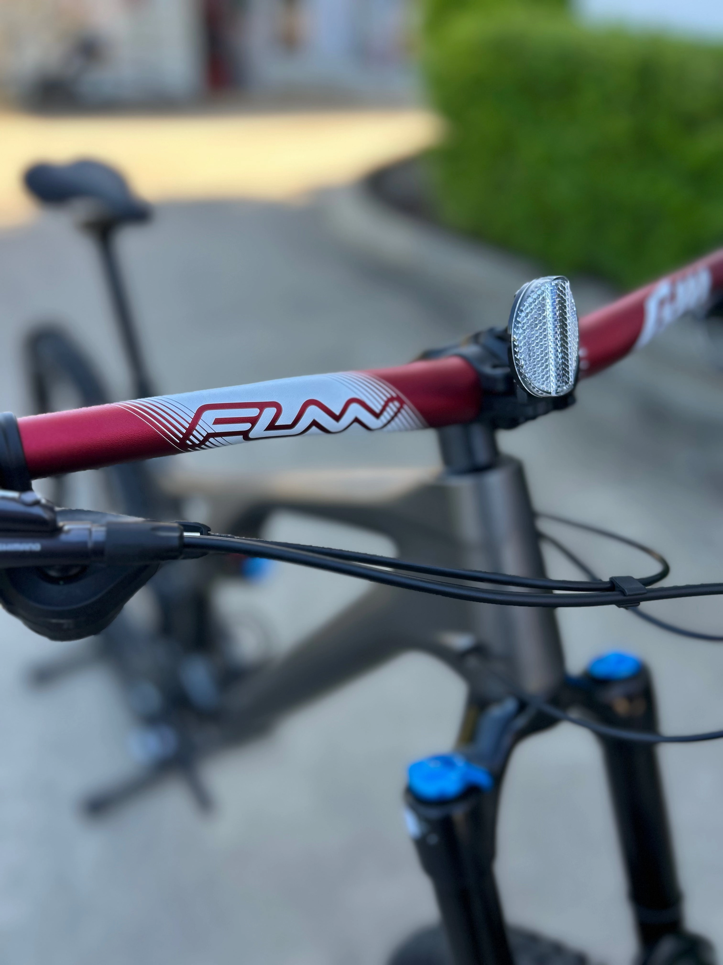 S-Works Stumpjumper Evo Custom Build (S5)